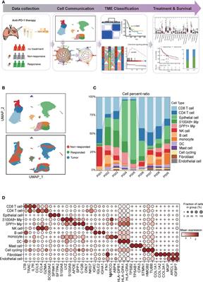 Receptor–ligand pair typing and prognostic risk model of response or resistance to immune checkpoint inhibitors in lung adenocarcinoma